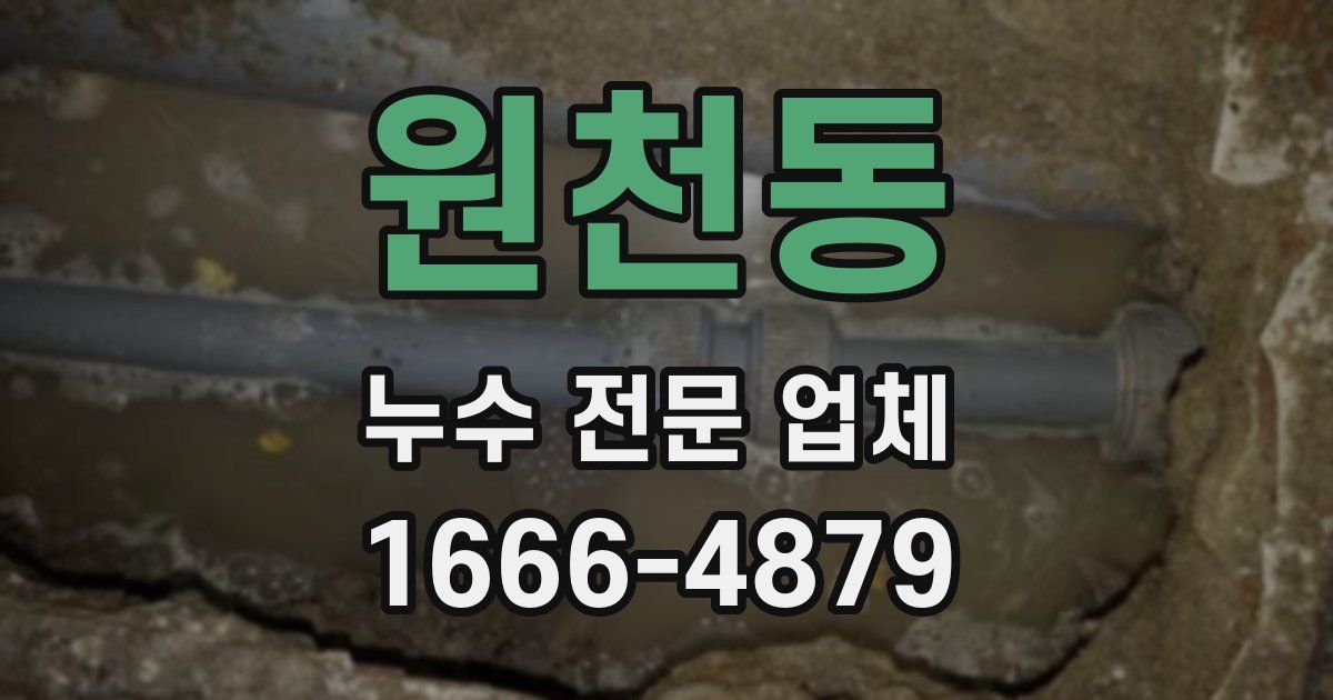원천동 누수 전문 업체