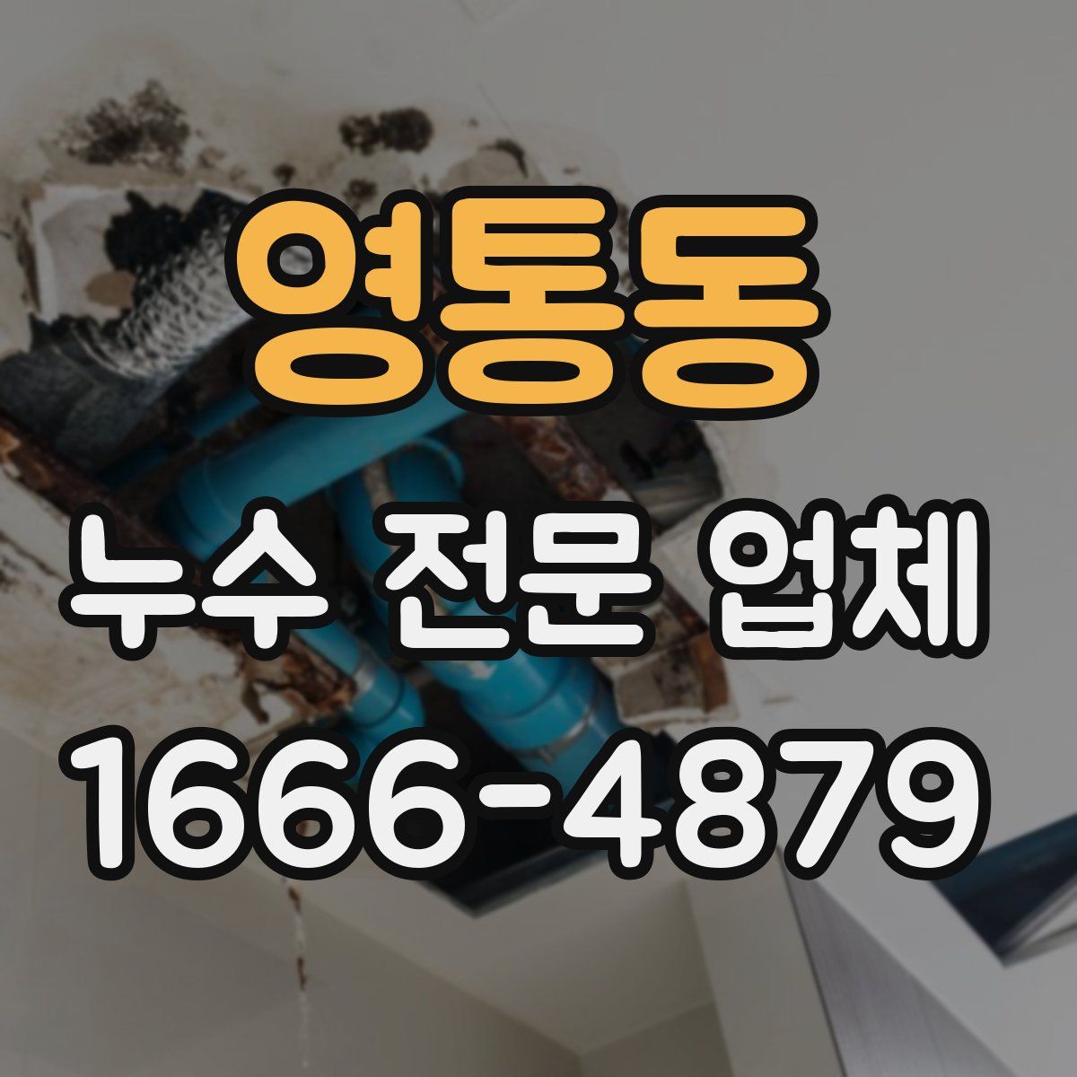 영통동 누수 전문 업체