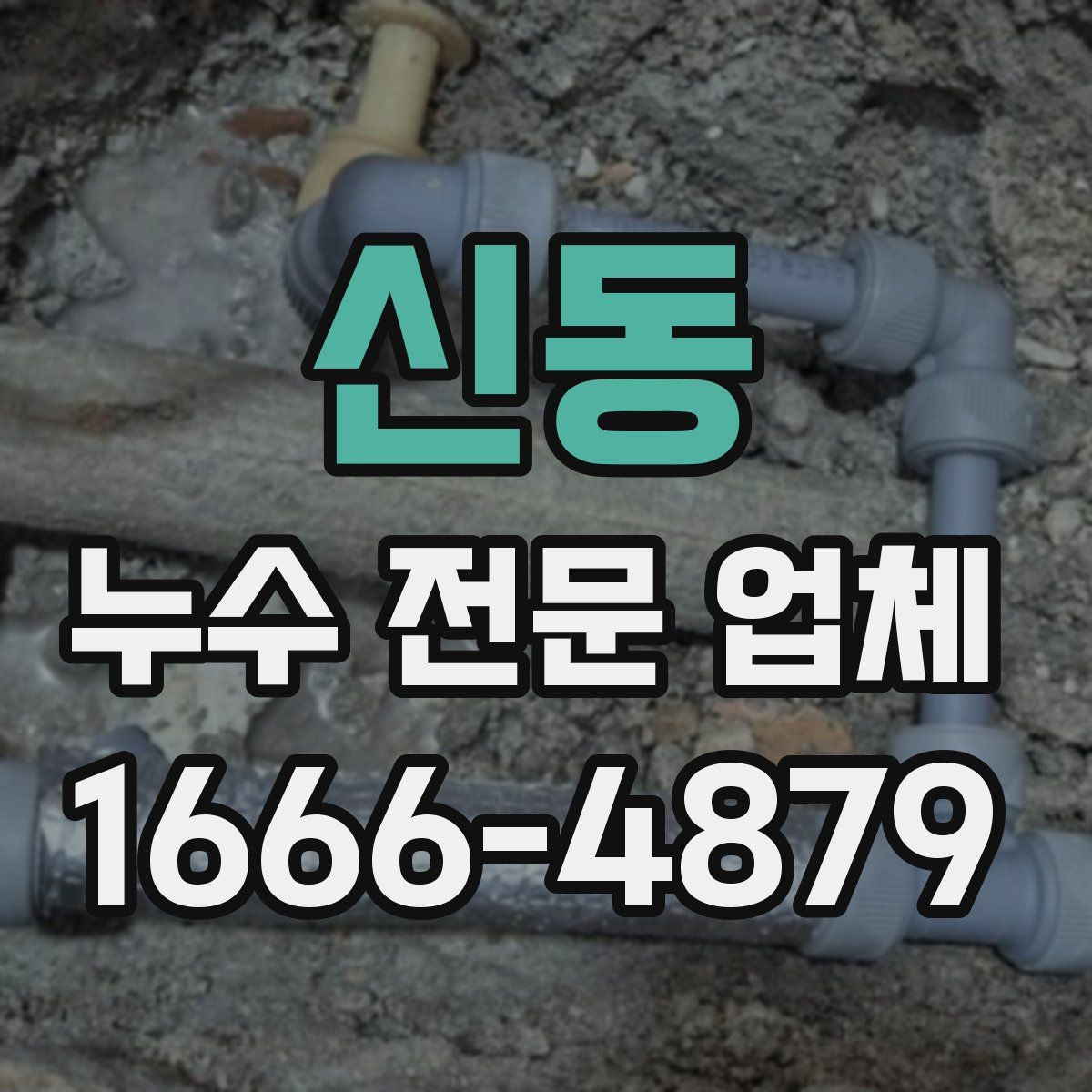 신동 누수 전문 업체