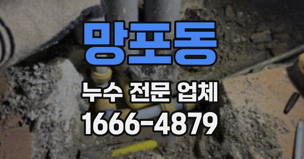 망포동 누수 전문 업체