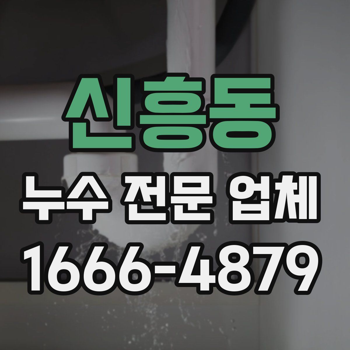 신흥동 누수 전문 업체