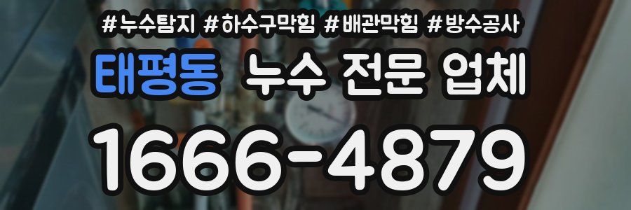 태평동 누수 전문 업체
