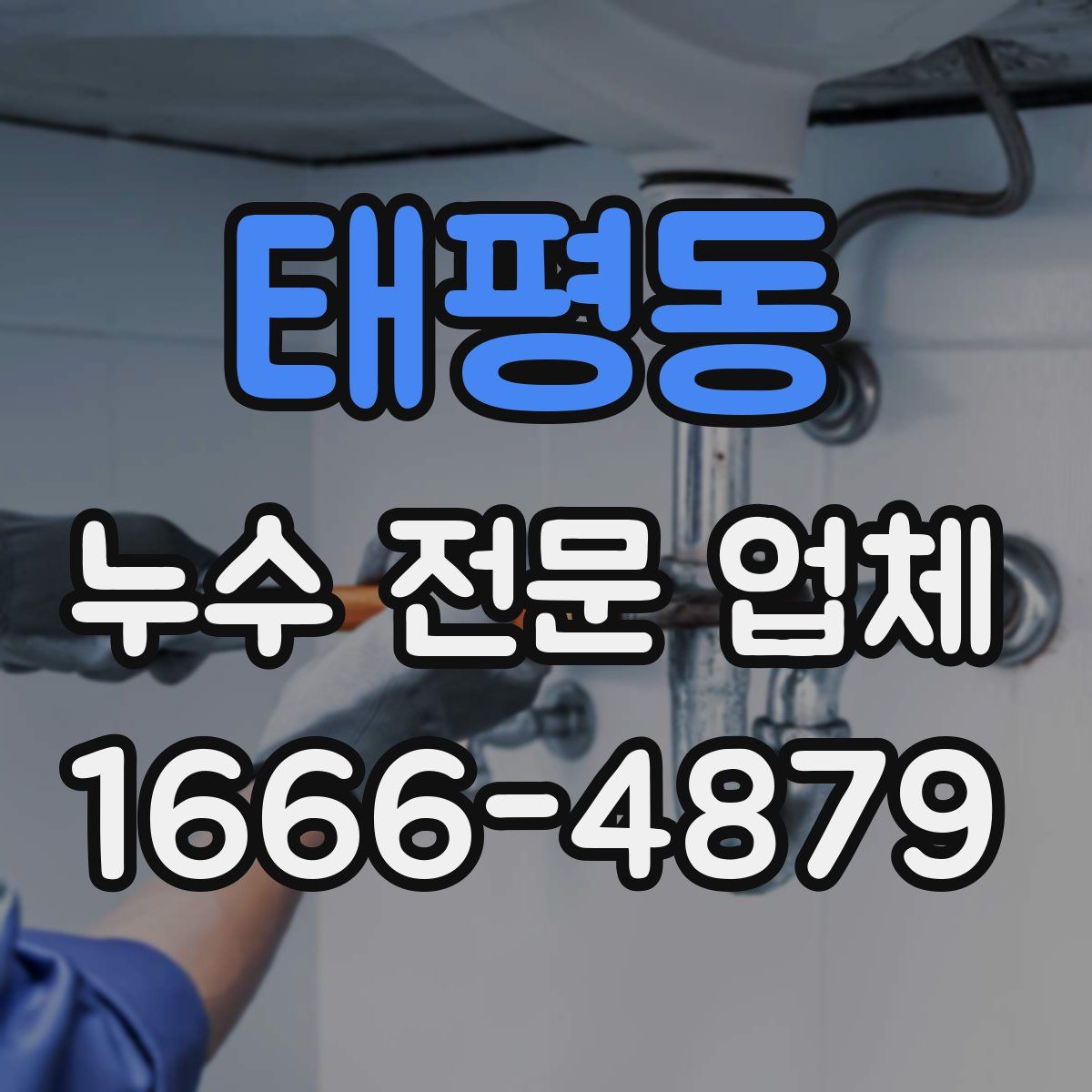태평동 누수 전문 업체