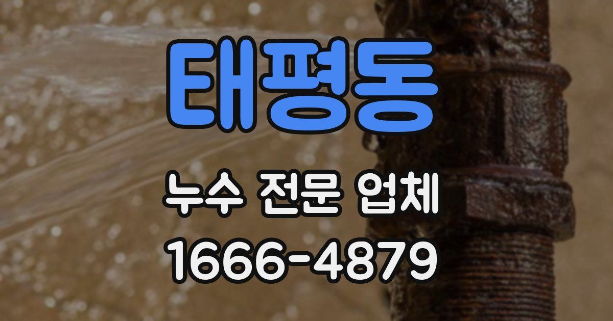태평동 누수 전문 업체