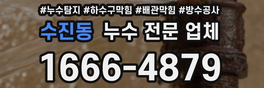 수진동 누수 전문 업체