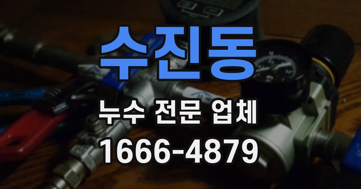 수진동 누수 전문 업체