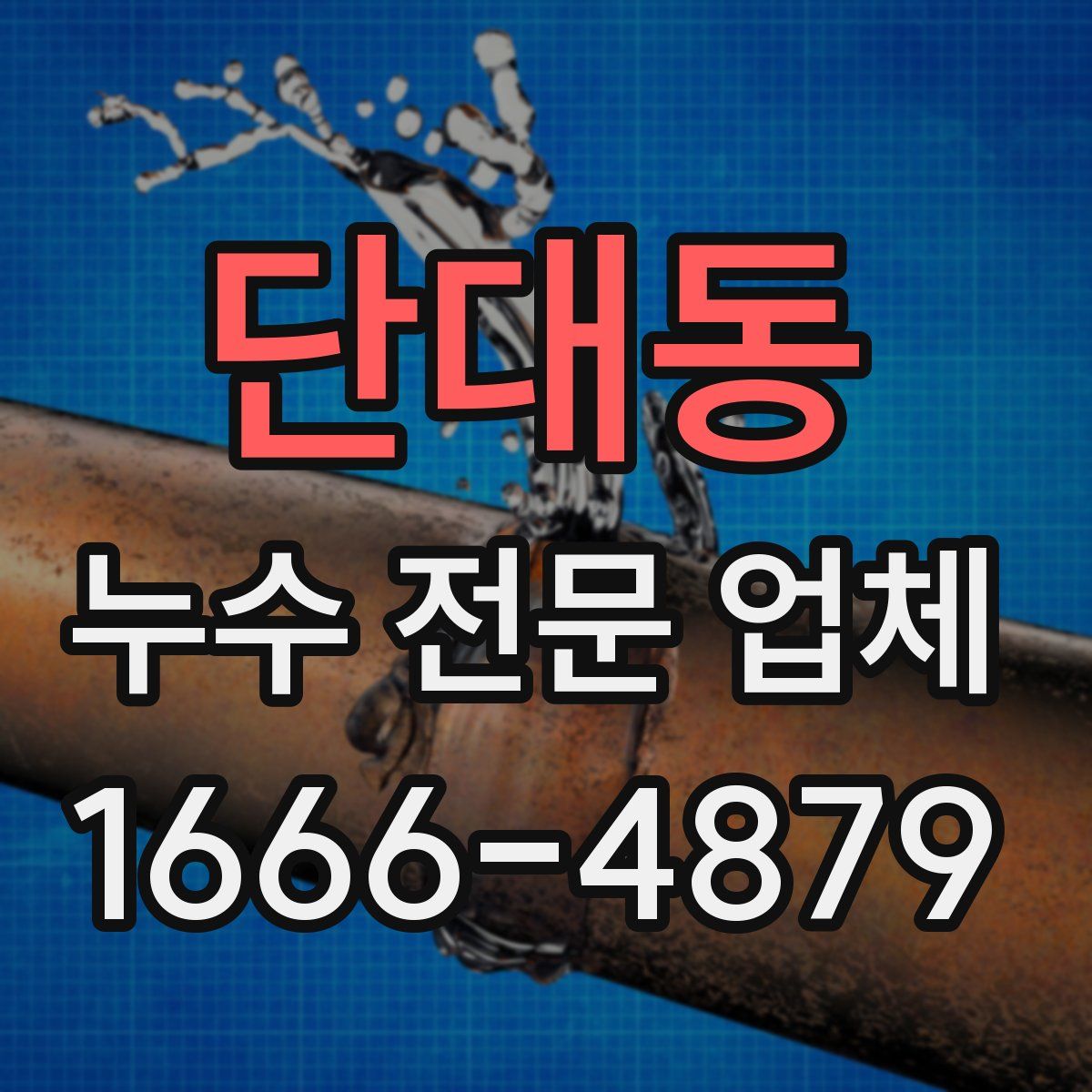 단대동 누수 전문 업체