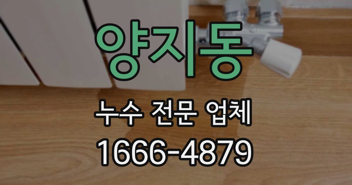 양지동 누수 전문 업체