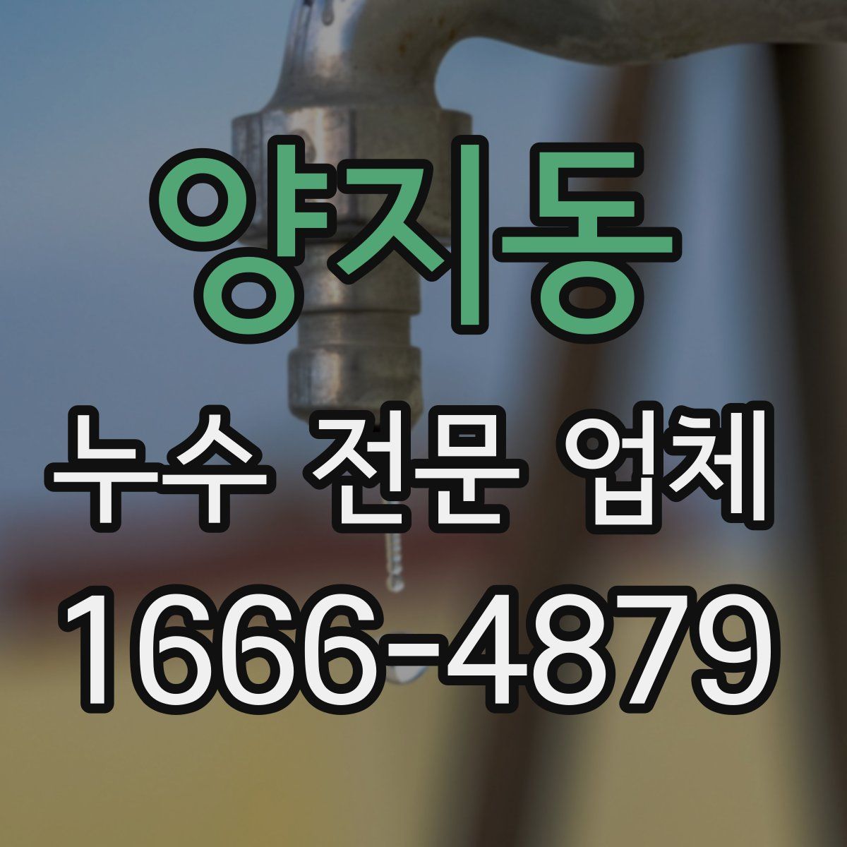 양지동 누수 전문 업체