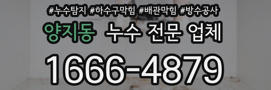 양지동 누수 전문 업체