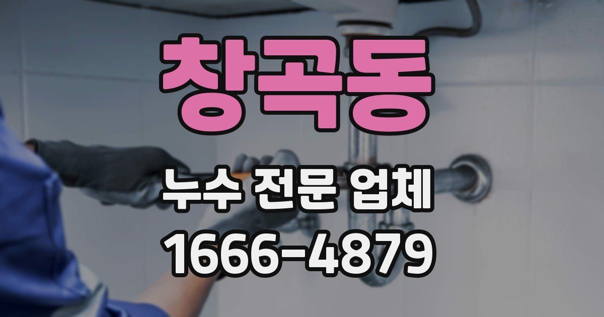 창곡동 누수 전문 업체
