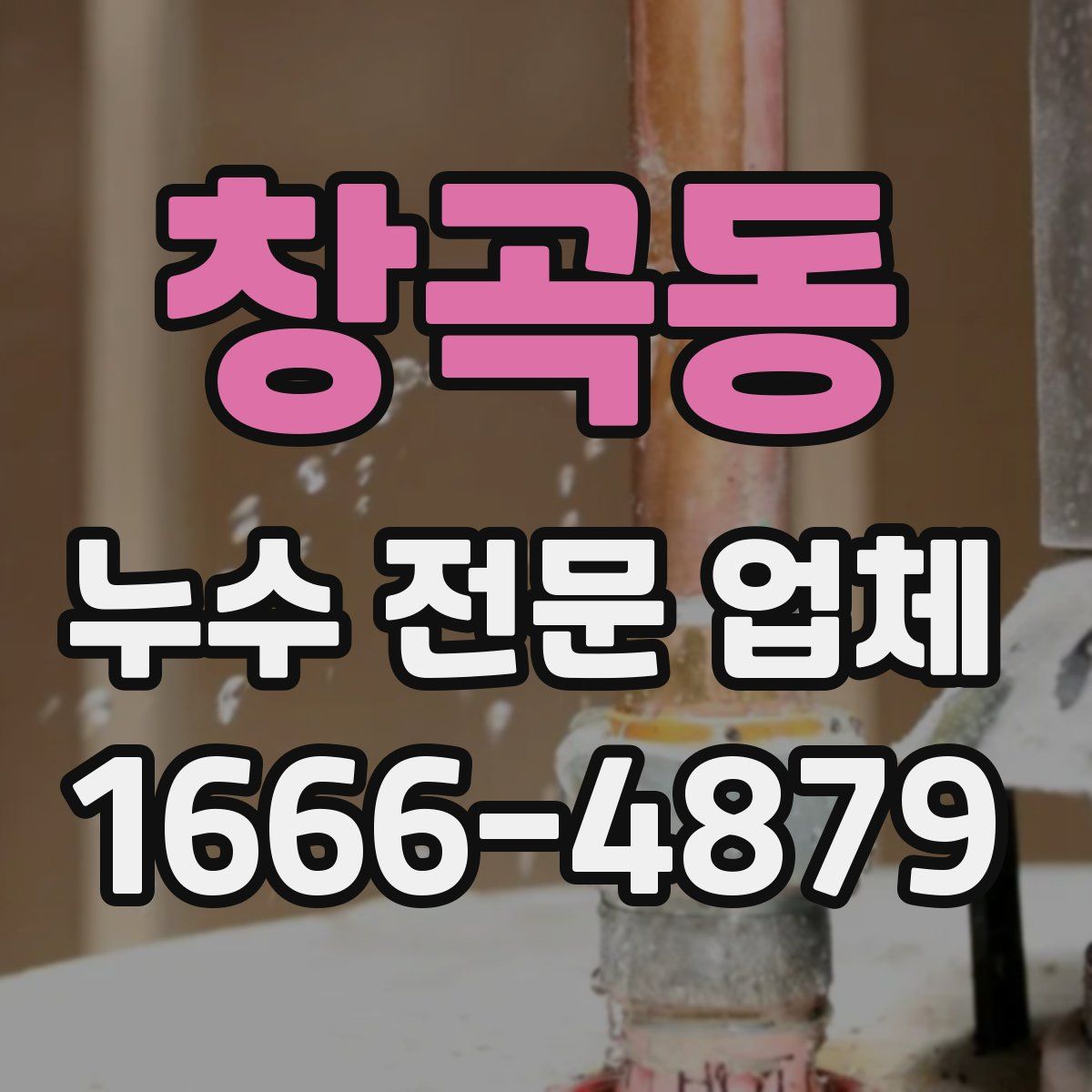 창곡동 누수 전문 업체