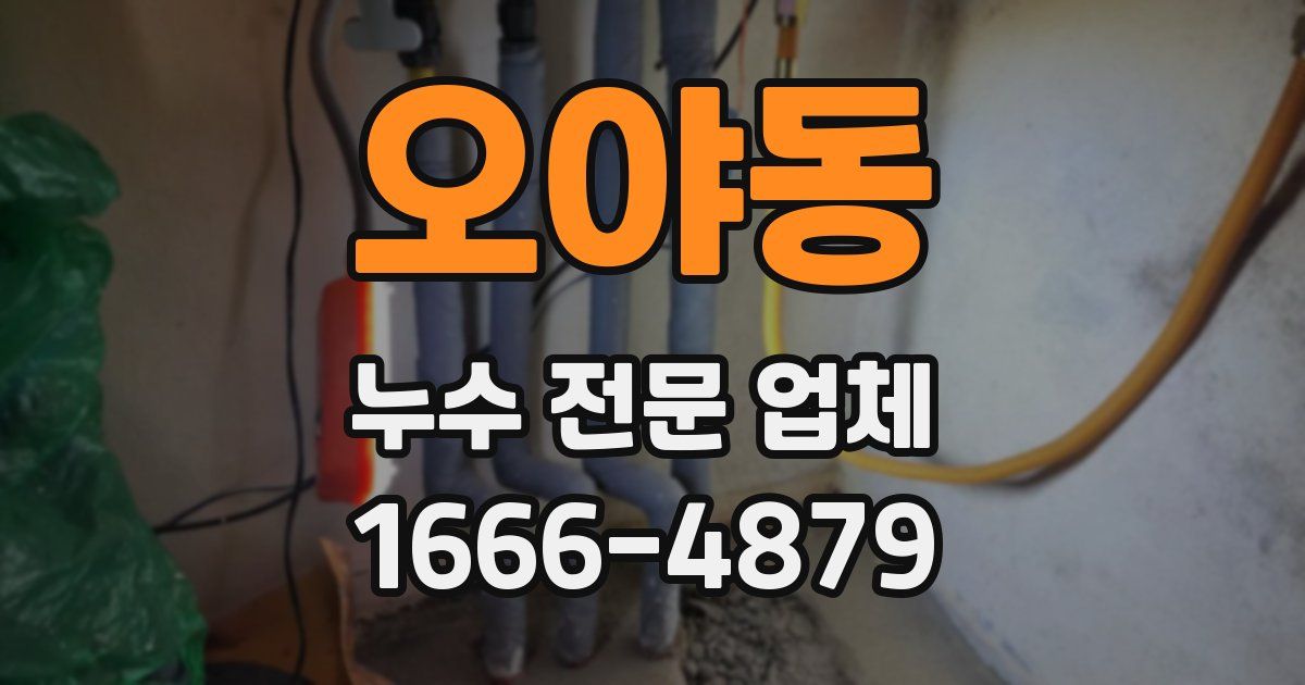 오야동 누수 전문 업체