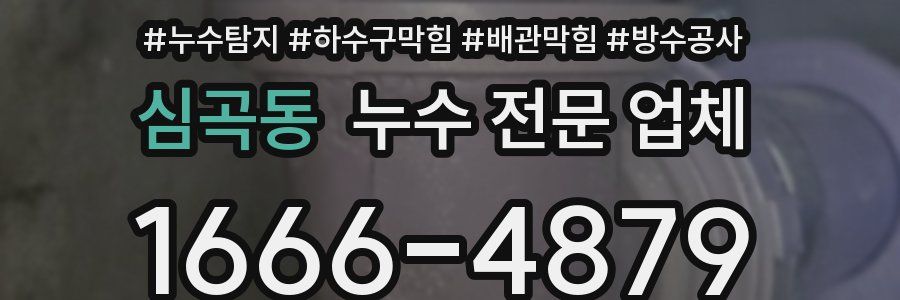 심곡동 누수 전문 업체