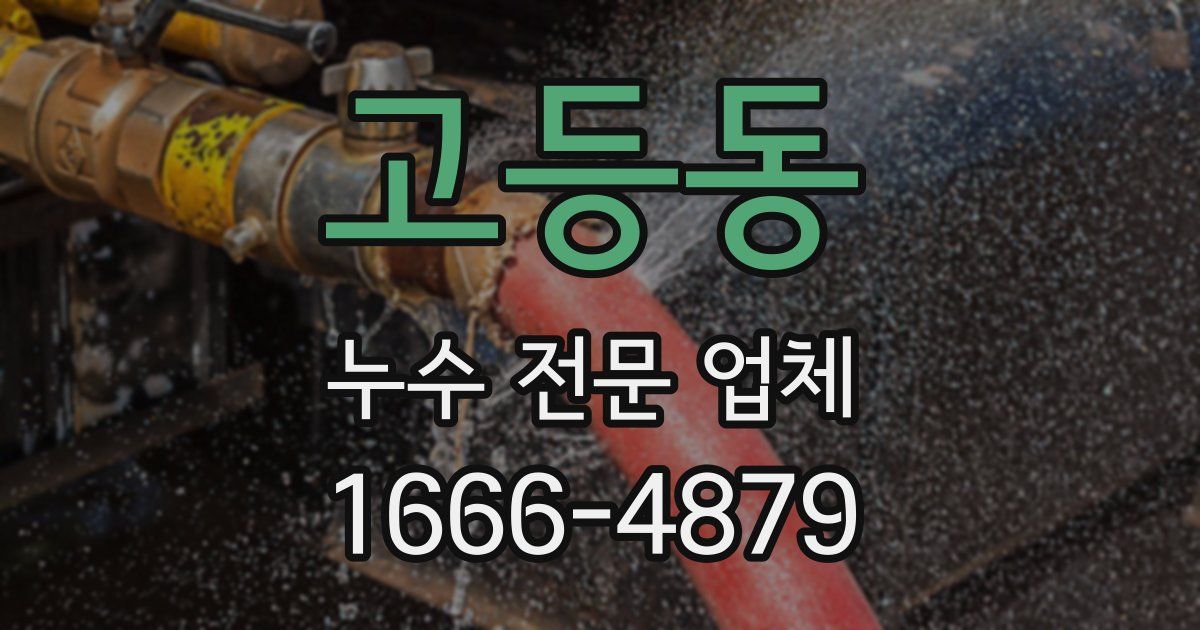 고등동 누수 전문 업체