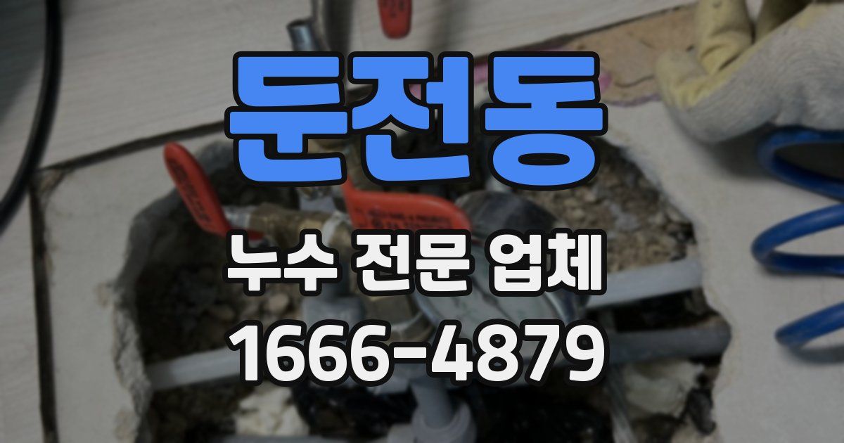 둔전동 누수 전문 업체