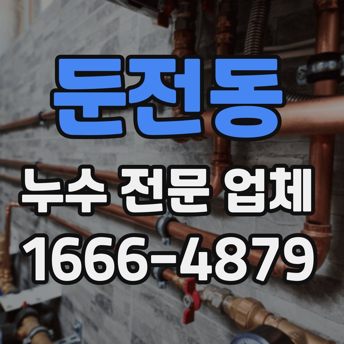 둔전동 누수 전문 업체