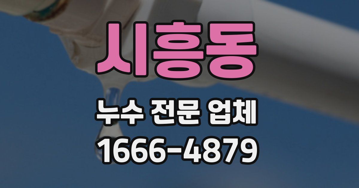 시흥동 누수 전문 업체