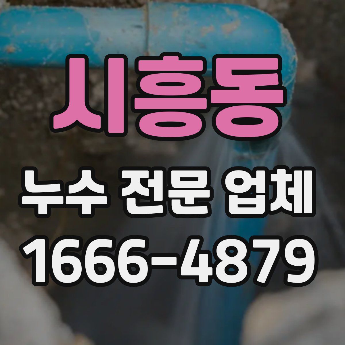 시흥동 누수 전문 업체