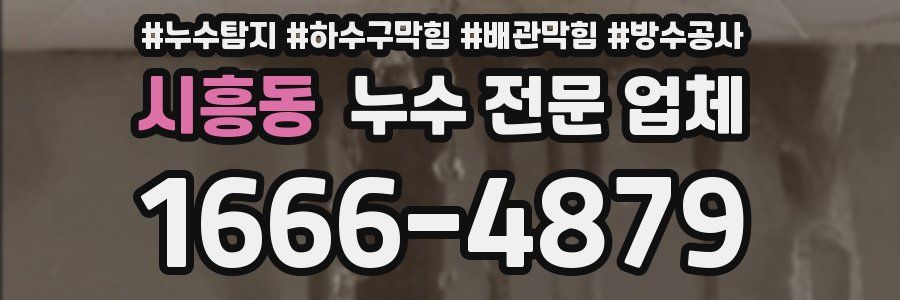 시흥동 누수 전문 업체