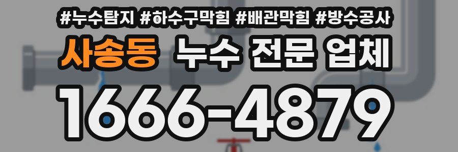 사송동 누수 전문 업체