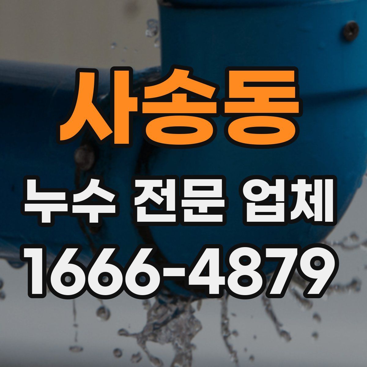사송동 누수 전문 업체