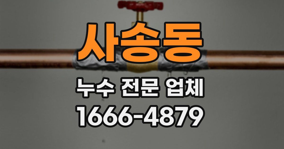사송동 누수 전문 업체