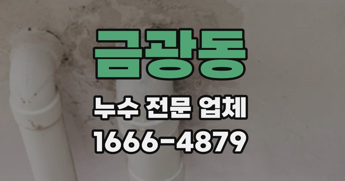 금광동 누수 전문 업체