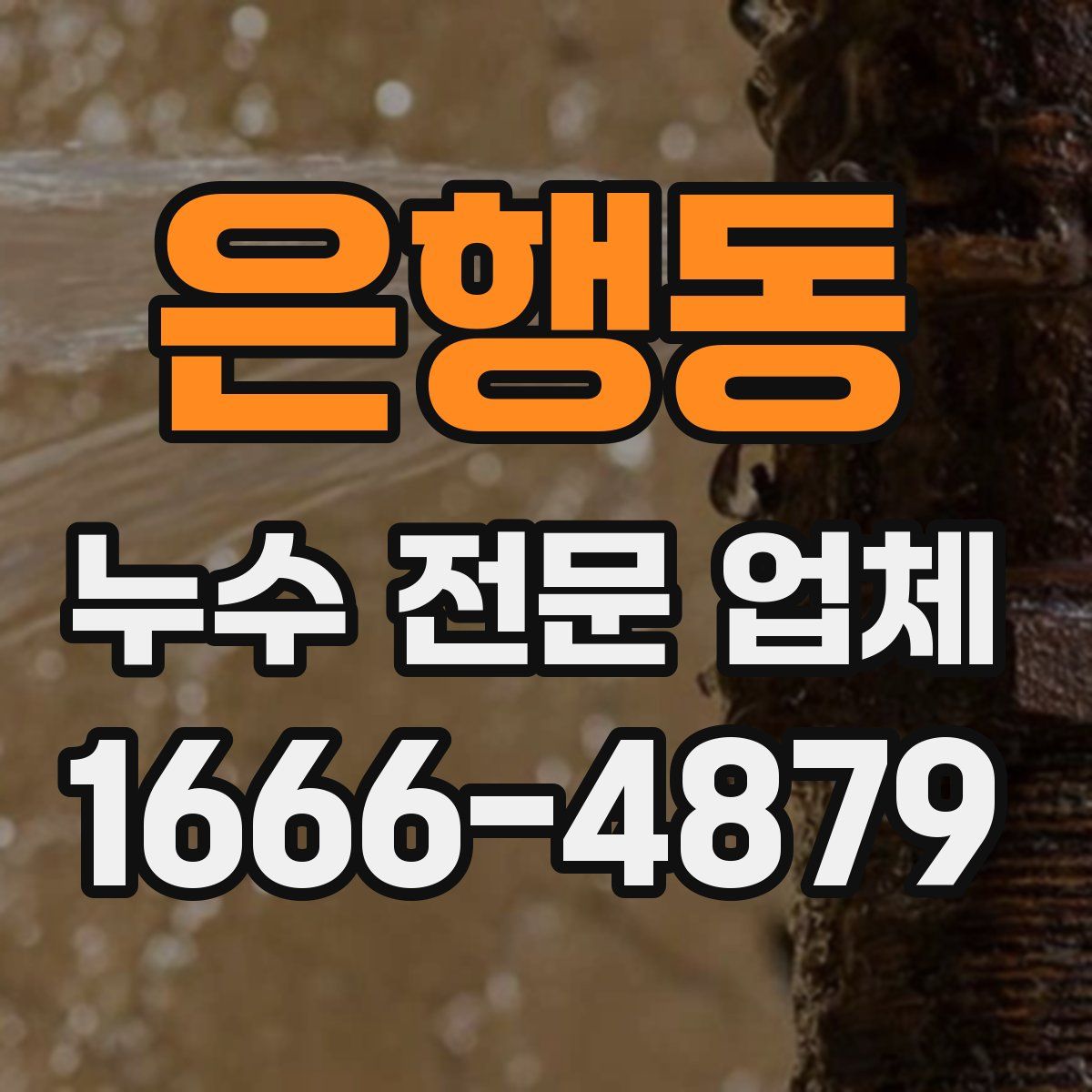 은행동 누수 전문 업체