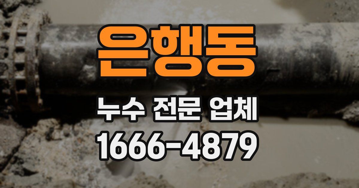 은행동 누수 전문 업체