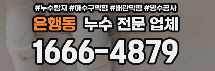 은행동 누수 전문 업체