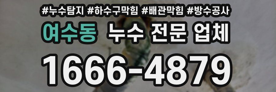 여수동 누수 전문 업체