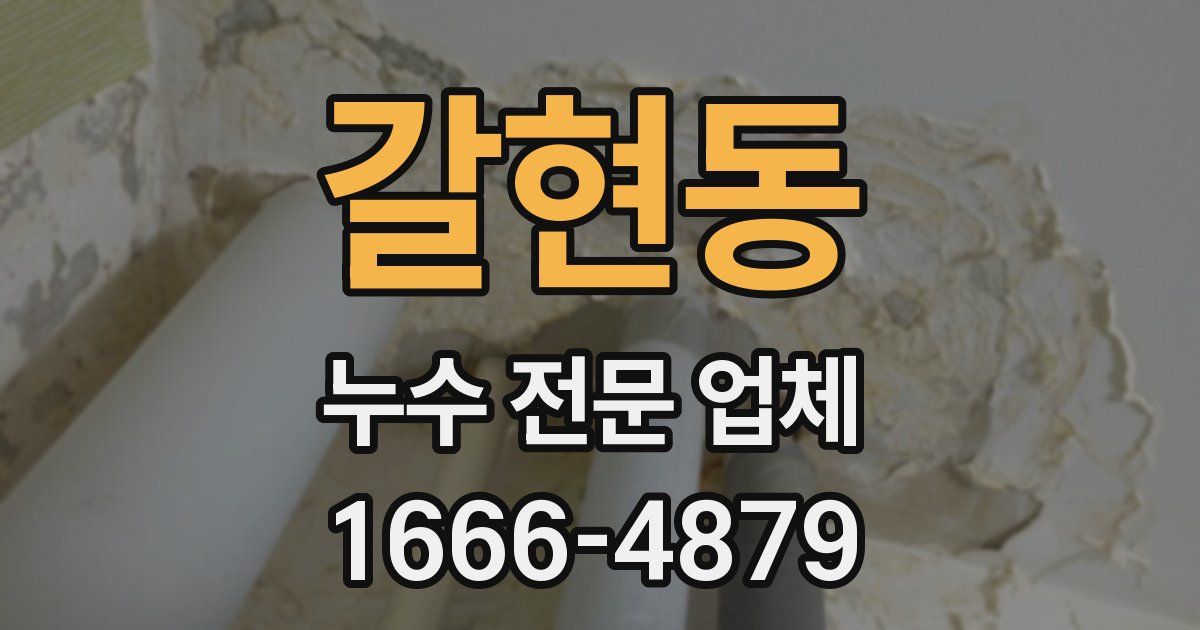 갈현동 누수 전문 업체