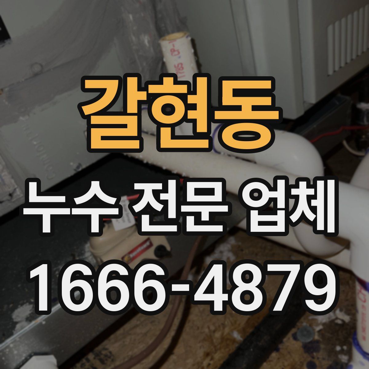 갈현동 누수 전문 업체