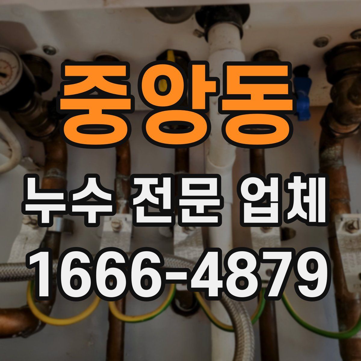 중앙동 누수 전문 업체