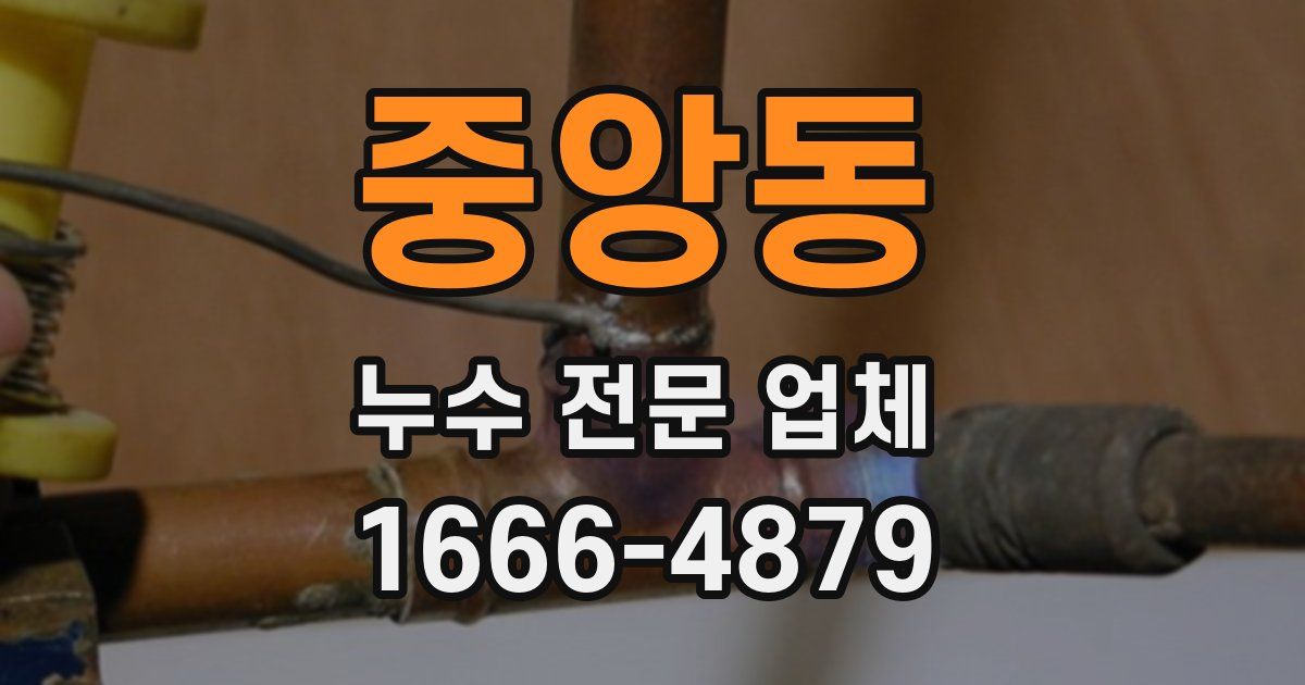 중앙동 누수 전문 업체