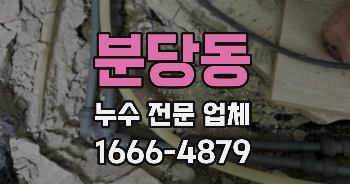 분당동 누수 전문 업체