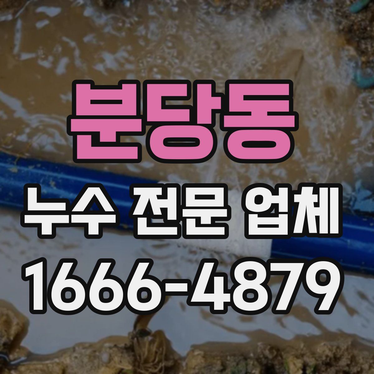 분당동 누수 전문 업체