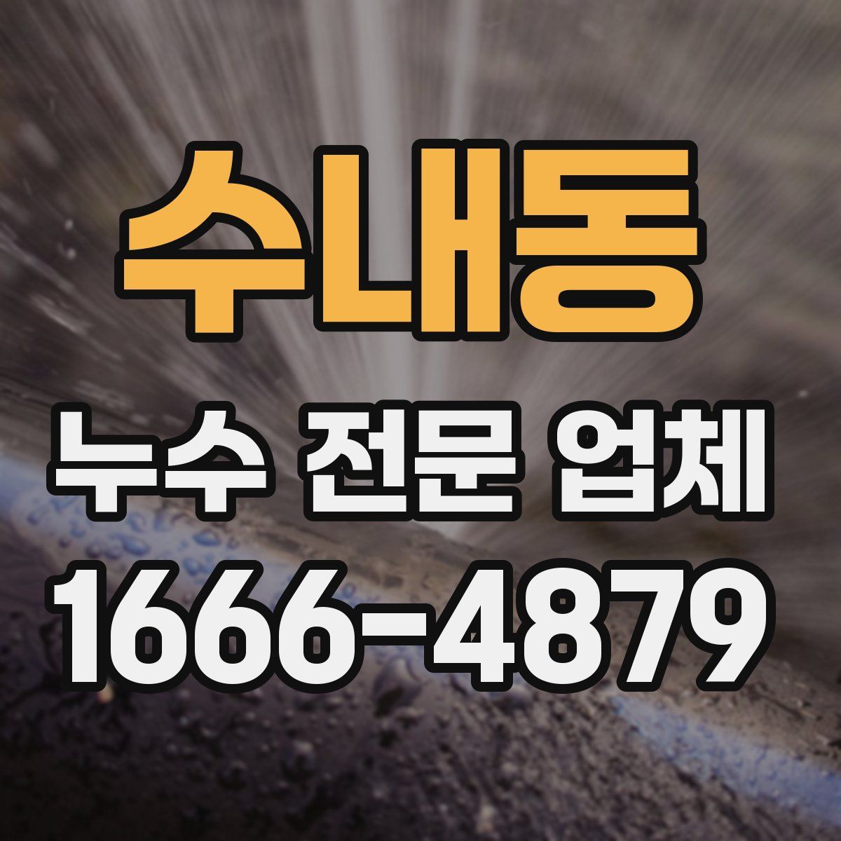 수내동 누수 전문 업체