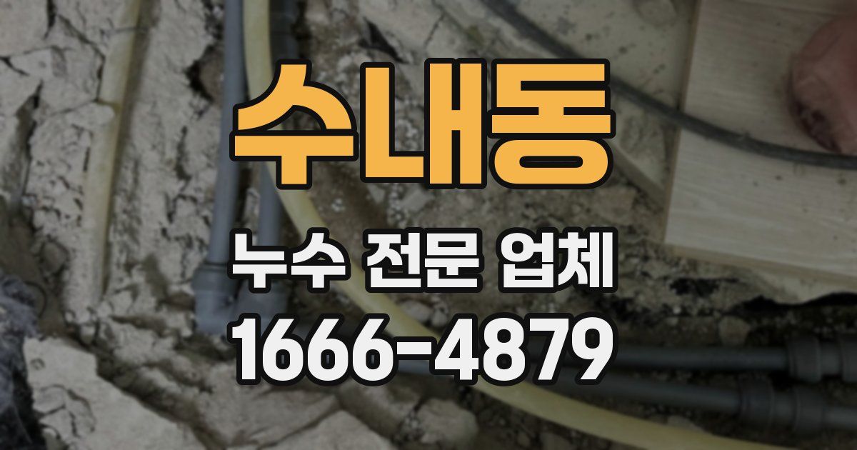 수내동 누수 전문 업체