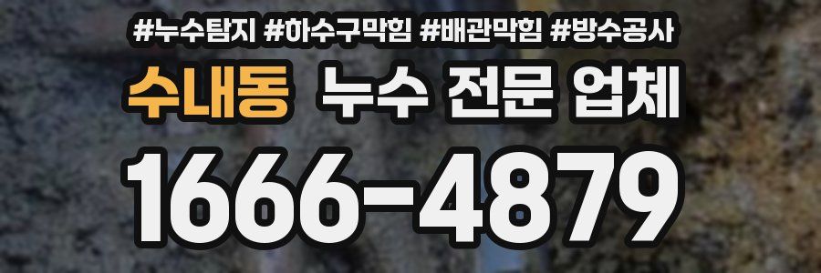 수내동 누수 전문 업체