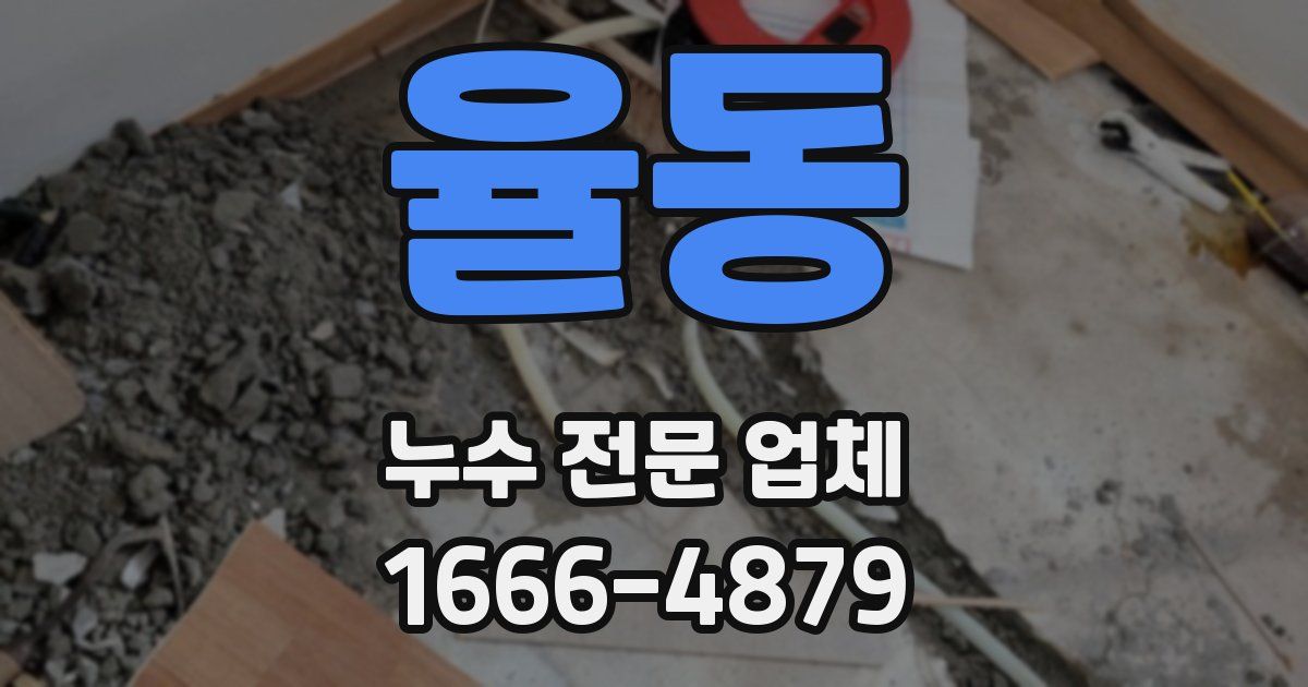 율동 누수 전문 업체