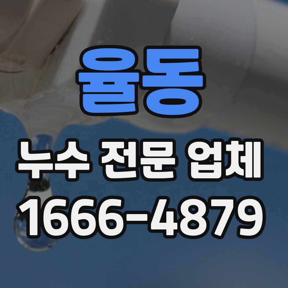 율동 누수 전문 업체