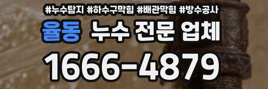 율동 누수 전문 업체
