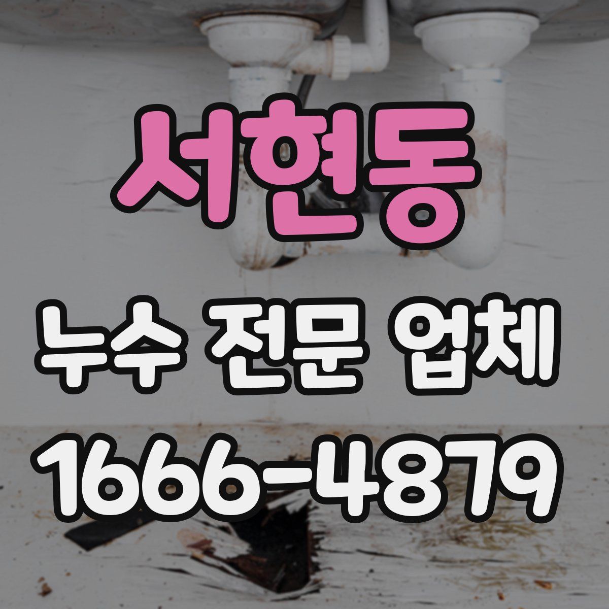 서현동 누수 전문 업체