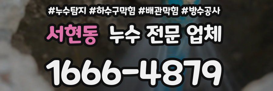 서현동 누수 전문 업체