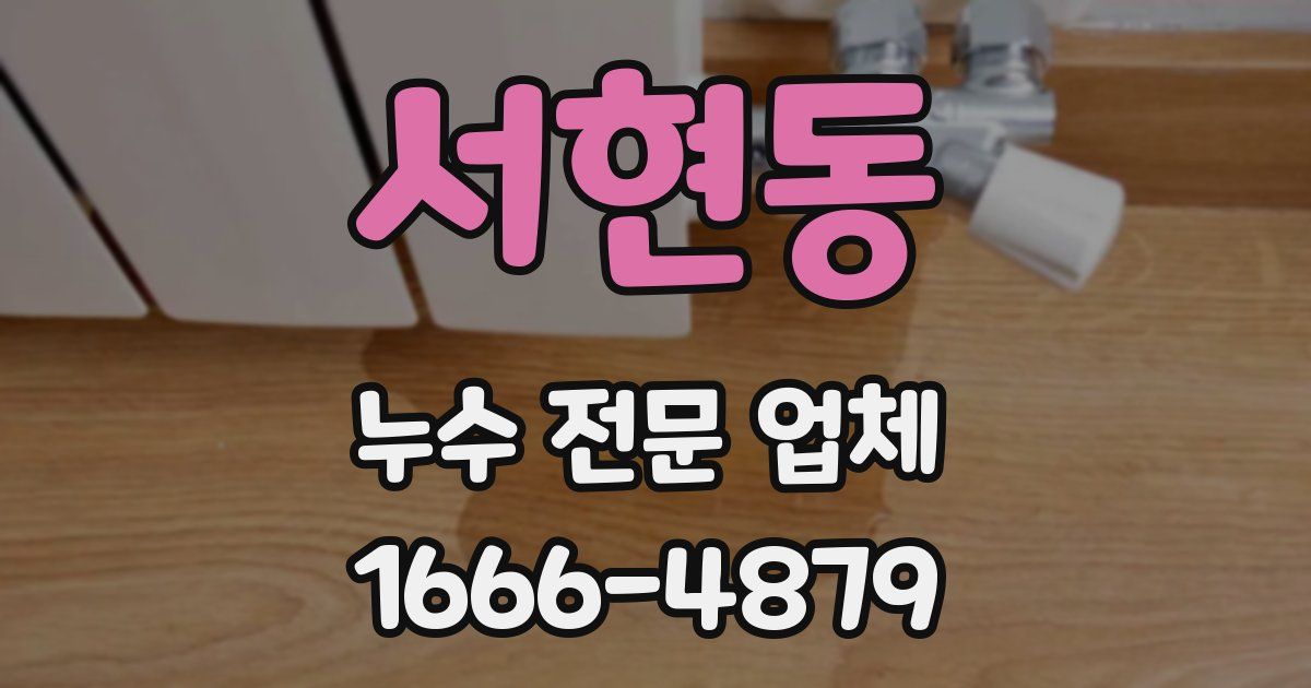 서현동 누수 전문 업체