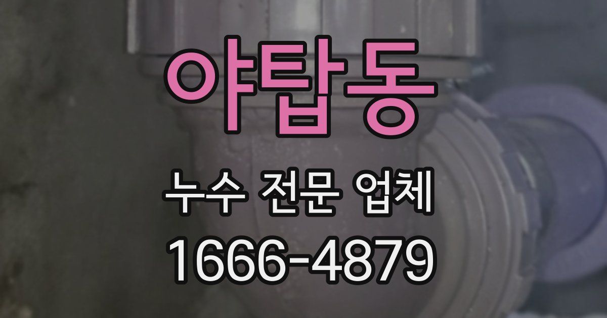 야탑동 누수 전문 업체