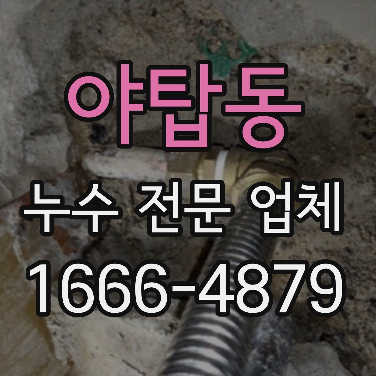 야탑동 누수 전문 업체