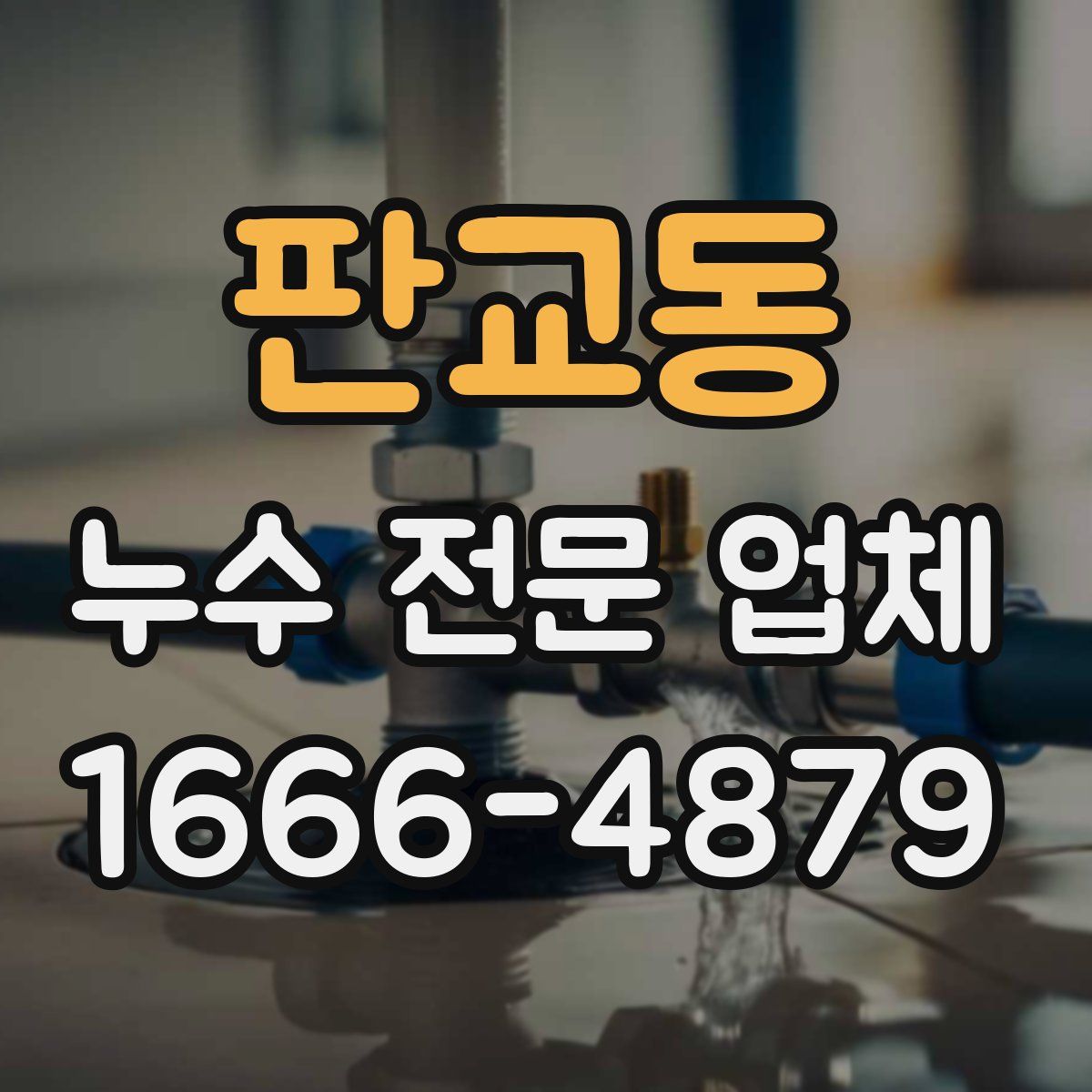 판교동 누수 전문 업체